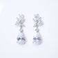 Danye Sparkle Earrings